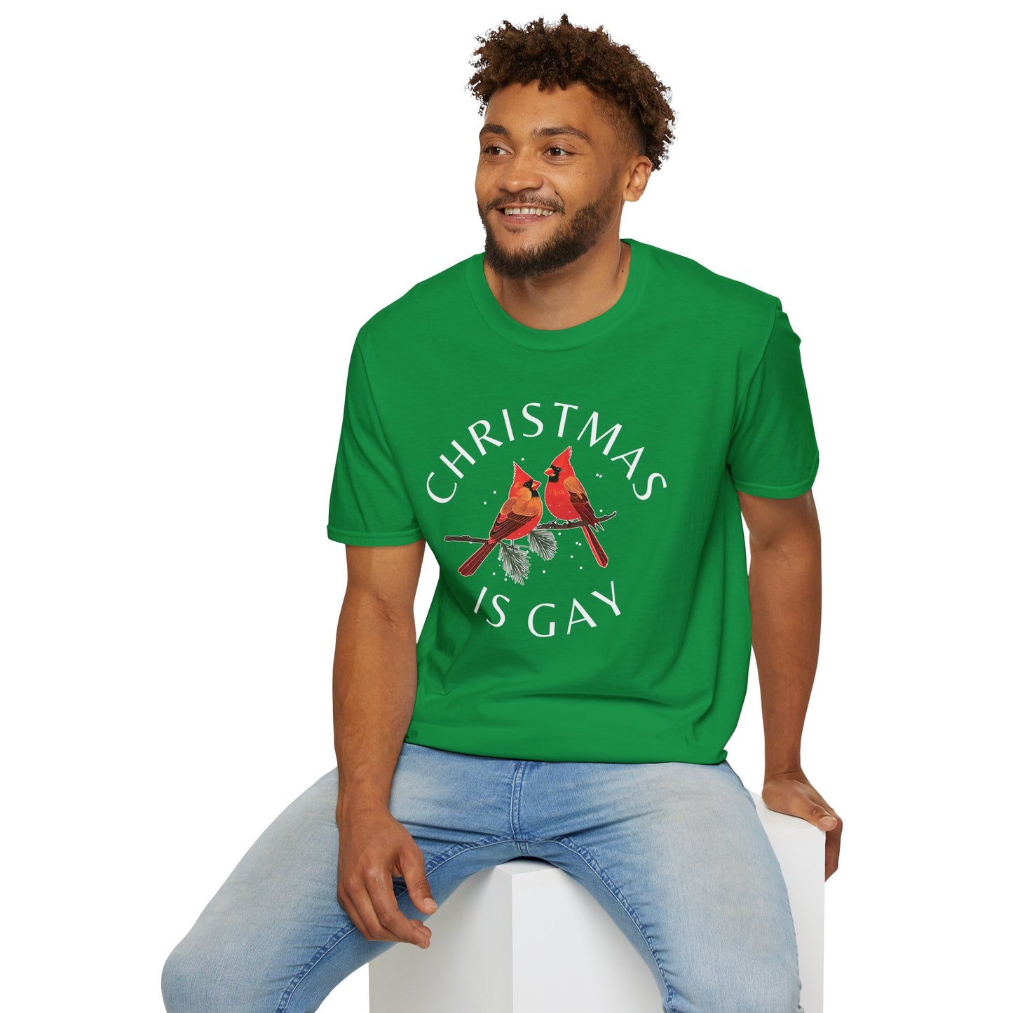 Christmas is Gay - Two Male Cardinals in Love - T-shirt